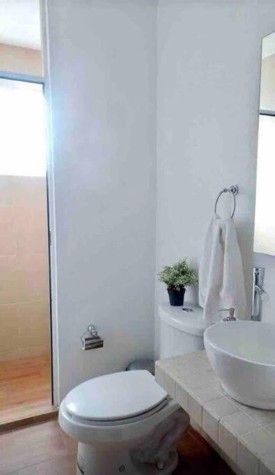 Hermoso Penthouse Cerca Del Centro Apartamento Guanajuato